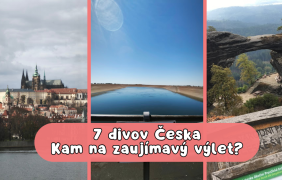 7tipovceska